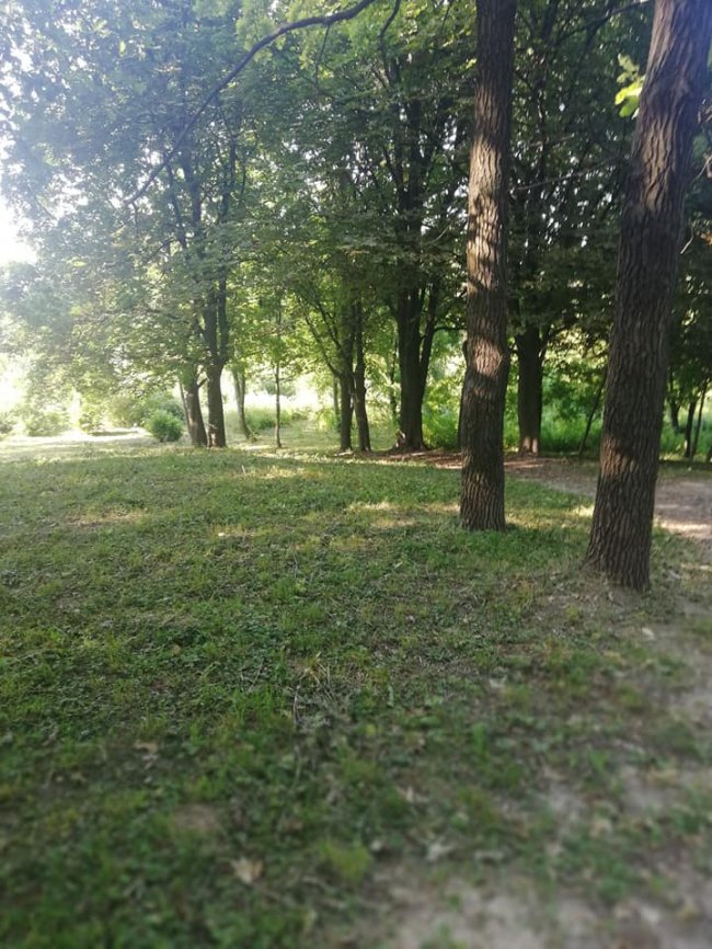 Луцький парк очистили від зарослів. ФОТО