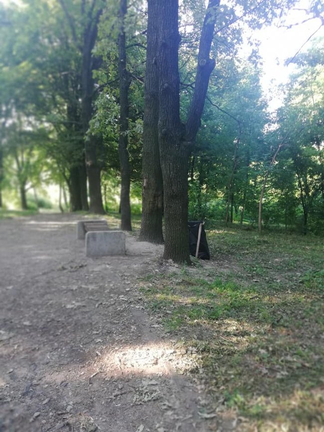Луцький парк очистили від зарослів. ФОТО