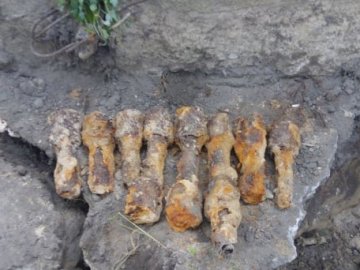 Снаряди, міни і гранати: за тиждень на Волині знайшли 21 боєприпас 