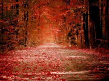 Погода в Луцьку та Волинській області на четвер, 3 жовтня