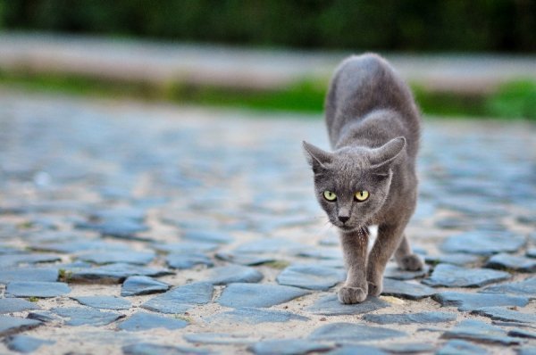 Фотовиставка Ірини Ільчук