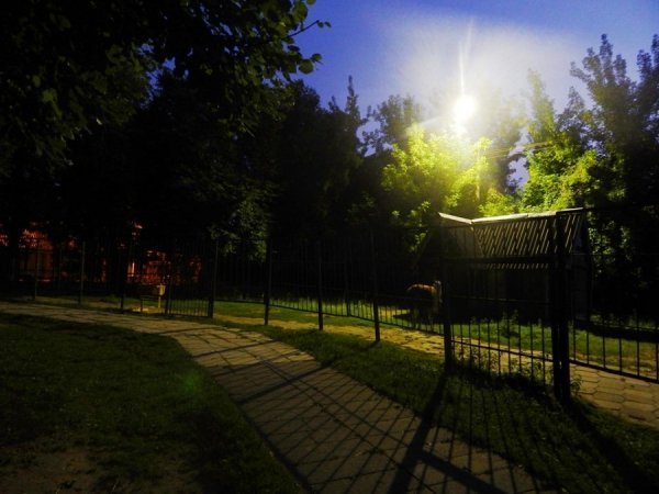 Луцький зоопарк «виходить» з темряви. ФОТО