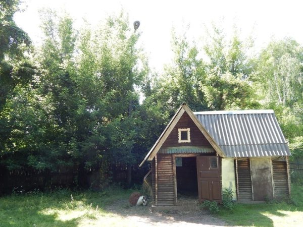 Луцький зоопарк «виходить» з темряви. ФОТО