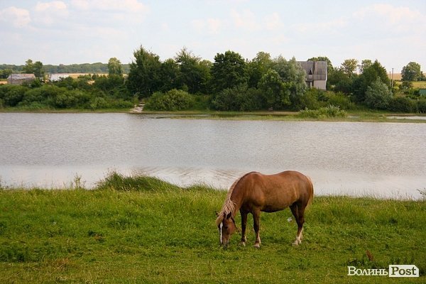 Відпочинок під Луцьком. Гаразджа. ФОТО 