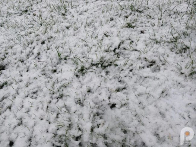 На Волині випав перший сніг. ФОТО