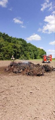 Під Луцьком чоловік розпалив величезне вогнище прямо біля лісу