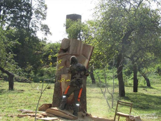 На Волині змайструють найбільший в Україні трон з дерева