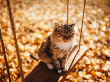 Погода в Луцьку та Волинській області на вівторок, 10 вересня