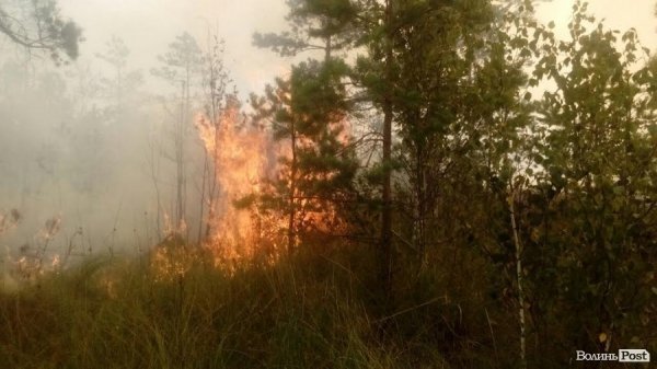 Біля державного кордону України з Білоруссю трапилась пожежа. ФОТО