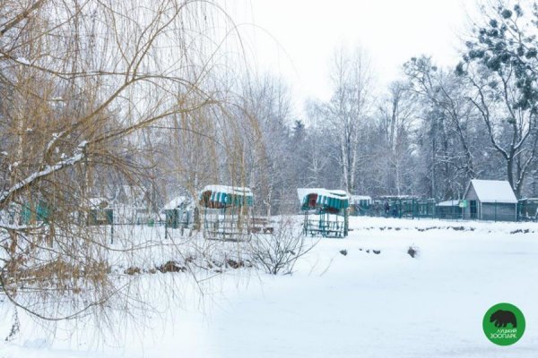 Зима в Луцькому зоопарку