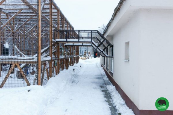 Зима в Луцькому зоопарку