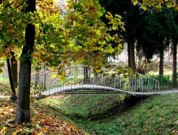 Осінь у Луцьку. ФОТО