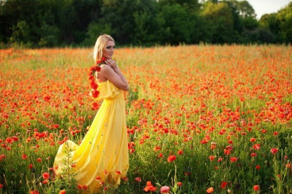 Маки 15.06.2013 с. Зоряне Луцький район. Автор Юрій Наумович