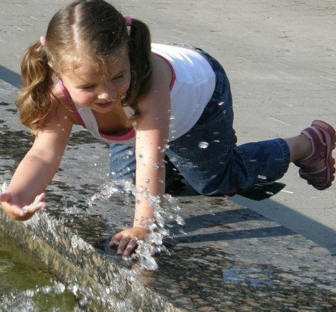 КрапЛіта (підглянуте фото під час прогулянки нашим Парком культури й відпочинку імені Лесі Українки). м. Луцьк. 29.06.2009р. Автор Світлана Зозуля 