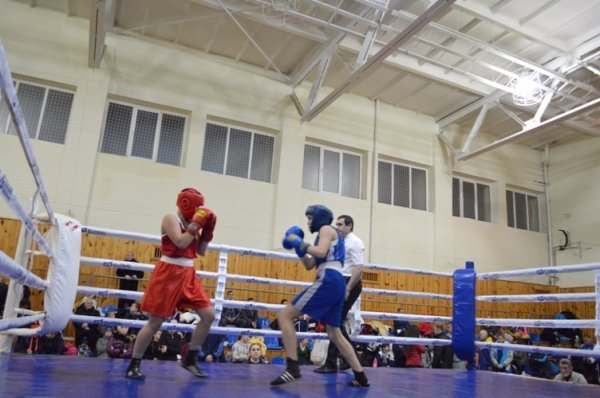 У Ковелі - чемпіонат з боксу серед жінок