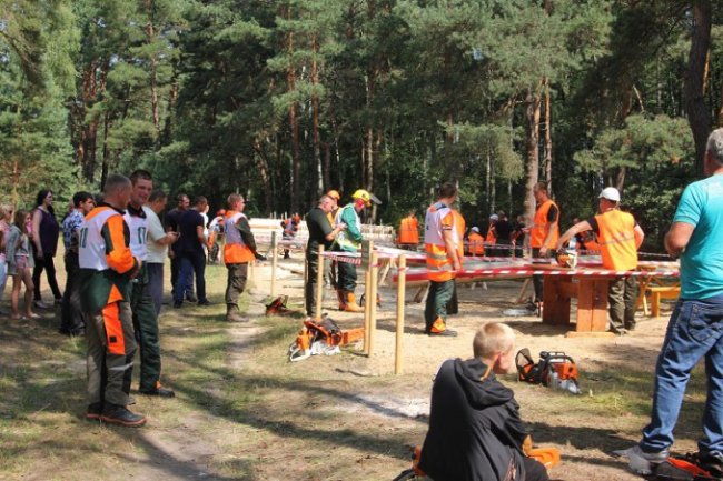 На Волині обрали кращого лісоруба. ФОТО