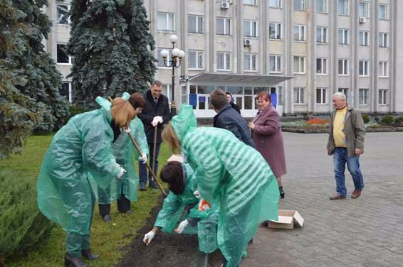 «Досить жити в сірості»: у центрі Ковеля висадили тюльпани