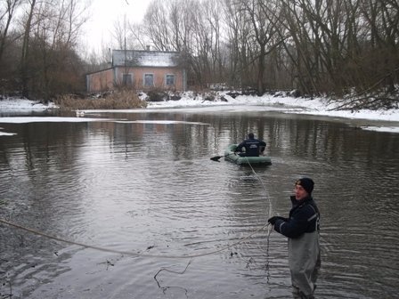 На волинській водоймі врятували закривавленого лебедя. ФОТО