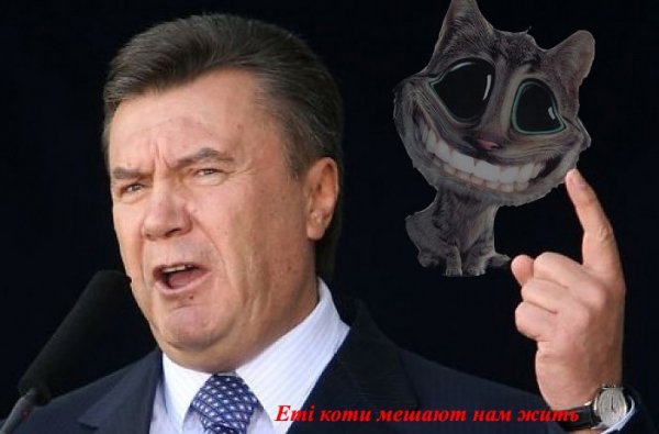 Бабуся і кіт: фотожабоманія триває. ФОТО