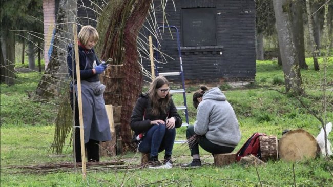 У луцькому парку створюють екоскульптури з обрізаного гілля. ВІДЕО