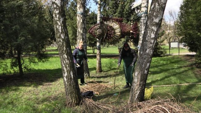 У луцькому парку створюють екоскульптури з обрізаного гілля. ВІДЕО