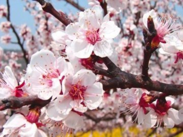 13 квітня на Волині: гортаючи календар