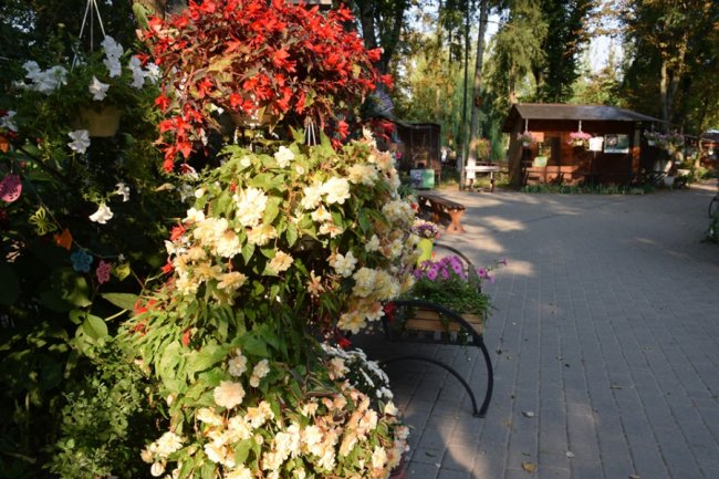 Повідомили, які заходи запланували у луцькому зоопарку на День Незалежності. ФОТО