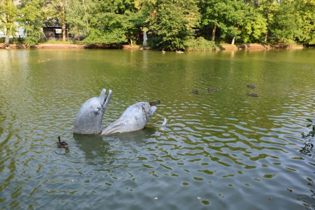 Повідомили, які заходи запланували у луцькому зоопарку на День Незалежності. ФОТО