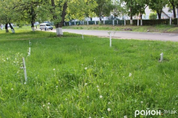 «Хто живе на ДПЗ, тому у житті везе». ФОТО