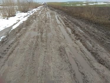 Замість дороги - болото: у селі на Волині немає асфальту. ФОТО