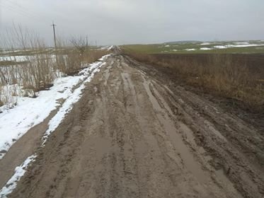 Замість дороги - болото: у селі на Волині немає асфальту. ФОТО