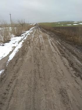 Замість дороги - болото: у селі на Волині немає асфальту. ФОТО
