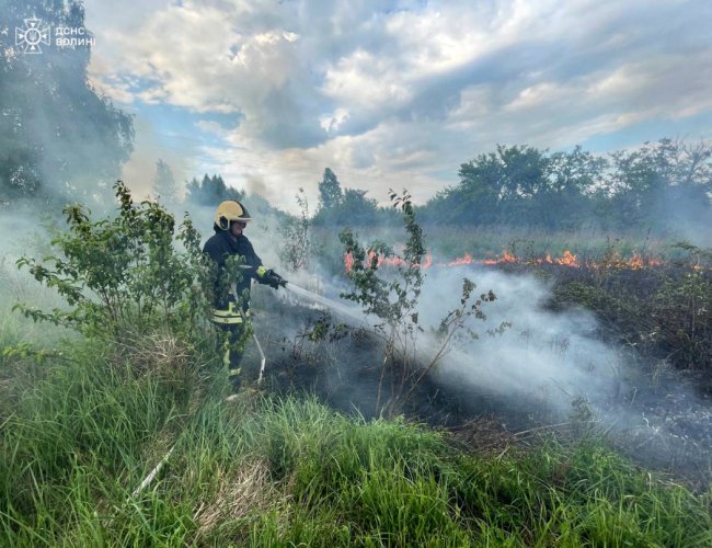 Під Луцьком на дачному масиві жінка розпалила багаття і залишила без нагляду: виникла пожежа