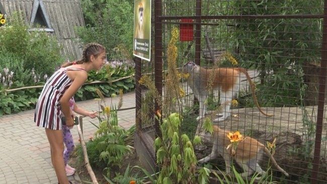 У Луцькому зоопарку тварин оглянули київські ветеринари. ФОТО