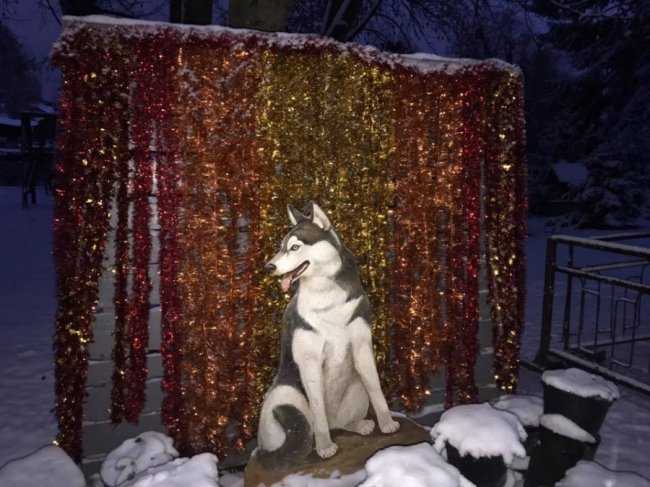 У луцькому зоопарку малюків частуватимуть смаколиками