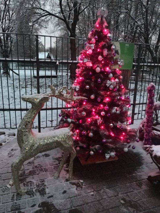У луцькому зоопарку малюків частуватимуть смаколиками