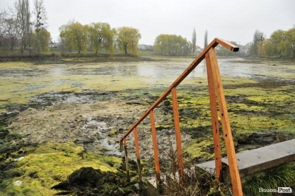 Як чистять ставки в Теремно. ФОТО