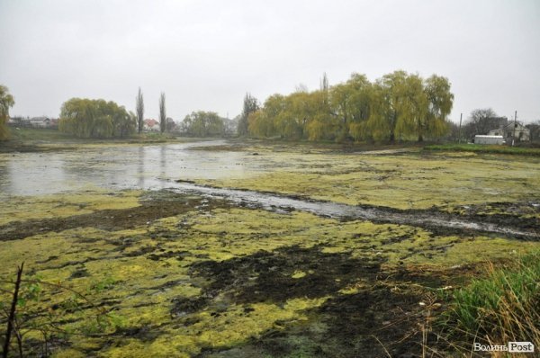 Як чистять ставки в Теремно. ФОТО