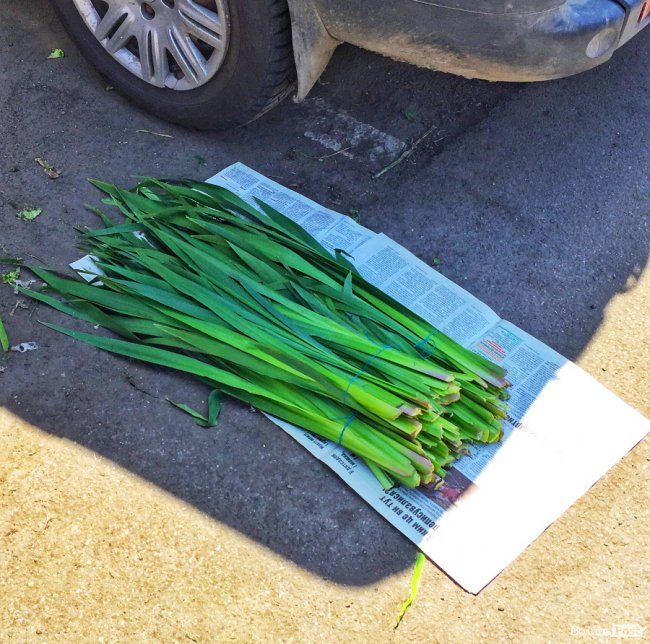 Від і до: скільки коштує лепеха на ринку у Луцьку напередодні Трійці 