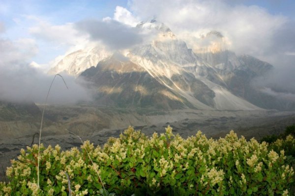 Автор  Любава Дроган