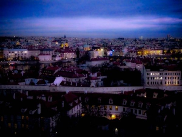 Автор  Ірина Новосад 