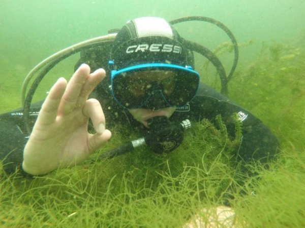 Все буде дайвінг, або Чому депутати Луцькради занурились на дно. ФОТО