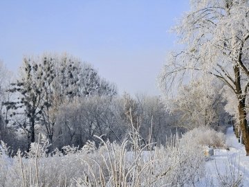 Засніжений Луцьк очима фотографа