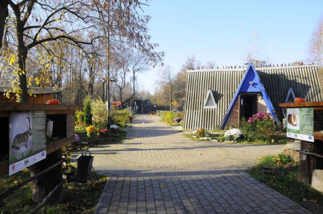 Мешканці Луцького зоопарку – в очікуванні зими. ФОТО