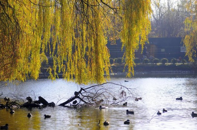 Мешканці Луцького зоопарку – в очікуванні зими. ФОТО