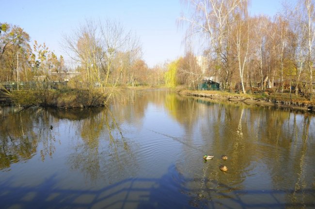 Мешканці Луцького зоопарку – в очікуванні зими. ФОТО