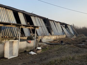 У Мукачеві горів свинокомплекс, загинуло 165 тварин. ФОТО