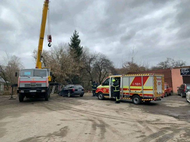 У Луцьку на автомобіль впало дерево