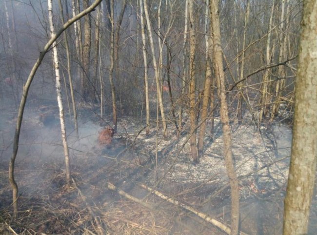 Вигоріло 2 га території: на Волині вогнеборці разом з лісівниками гасили суху траву. ФОТО