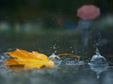 Погода в Луцьку та Волинській області на п'ятницю, 29 листопада